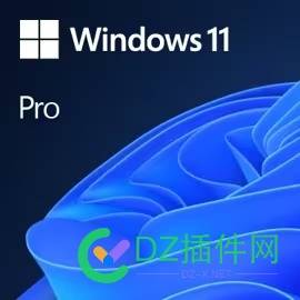 Windows 11 Pro专业版/Windows 11 Pro for Workstations专业工作站版正版安装或升级密钥[电子下载版 支持重装数字激活] 专业版,服务器,Windows,微软,11